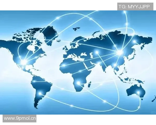 全球视野下的国际合作与挑战：应对当代全球化新机遇与风险